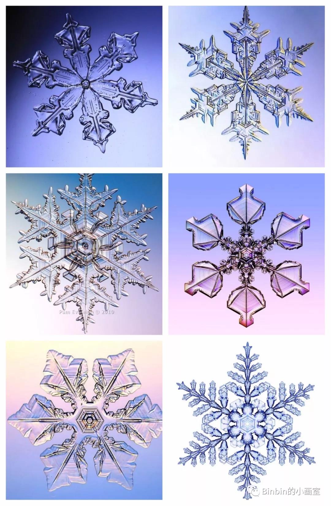 Close-up Photography of Snowflake · Free Stock Photo