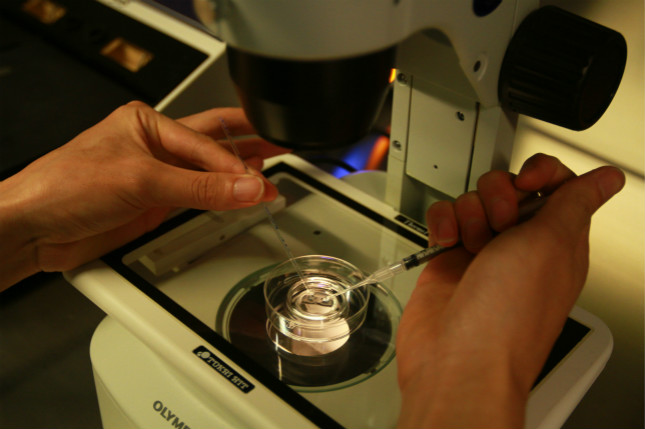 1658735780_meitu_1.jpg 1658735780_meitu_1.jpg