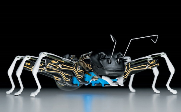 气动业全球领先厂商德国Festo制造的仿生蚂蚁机器人，如同真正的蚂蚁，这些仿生蚂蚁可以遵守简单规则、自主自动，在同一时间协同合作，完成大规模且复杂的任务。 图片来自网络.jpg