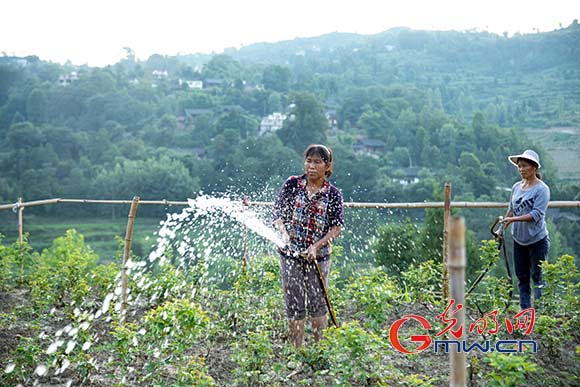 【脱贫攻坚在行动】别具一格石阡县：荒地山坳沁出温泉生态园