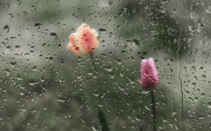 VCG211151713519 (1)_副本.jpg