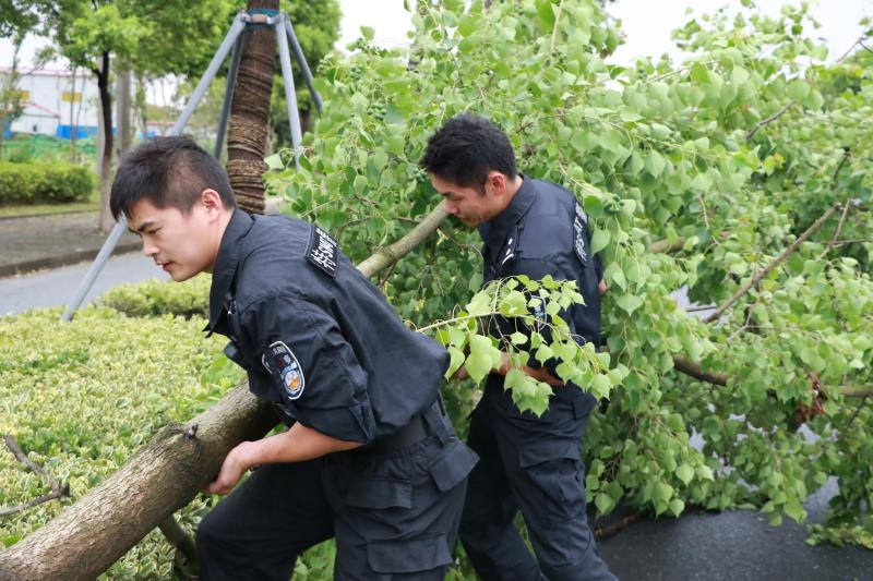 webwxgetmsgimg (6)_副本.jpg