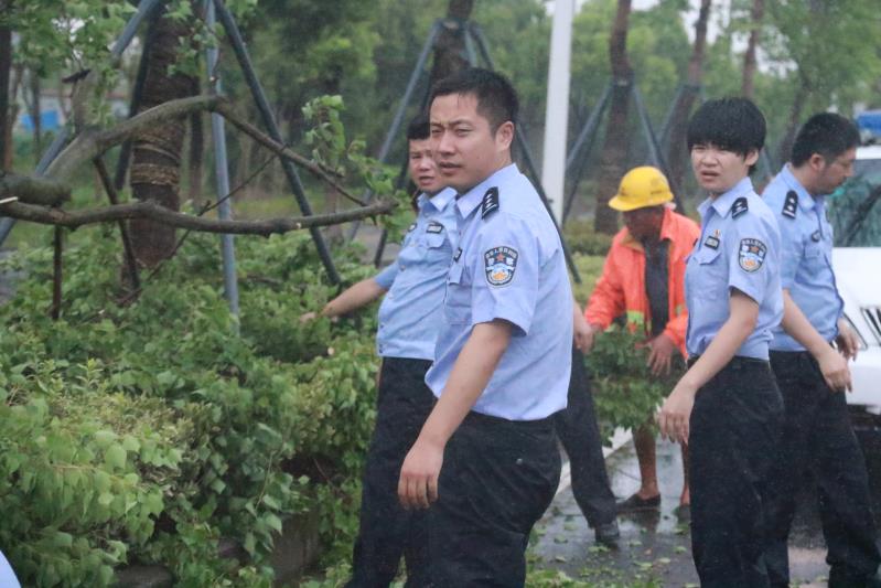 webwxgetmsgimg (1).jpg