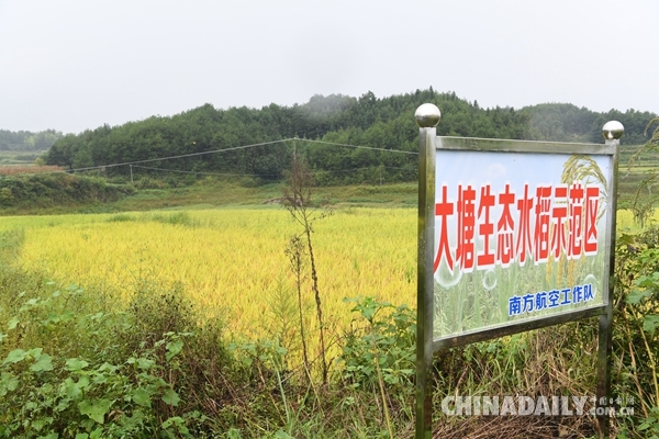 【中国梦·实践者】湖南贫困村小停学6年终复学 飞行员空姐上“开学第一课”