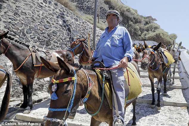 Donkeys giving tourists rides in Santorini are now not to carry loads heavier than 100kg