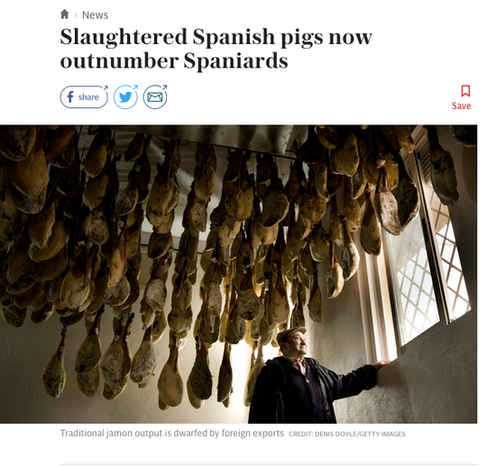 英国每日电讯报报道截图：中国需求大 西班牙每年宰猪数量已经超其人口