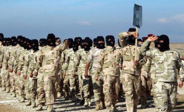 极端组织在伊拉克活动.jpg