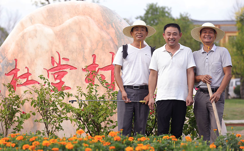 美丽乡村·湖北杜堂村：农田变花园 难怪游客都爱这儿！