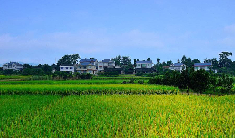 农村2.jpg
