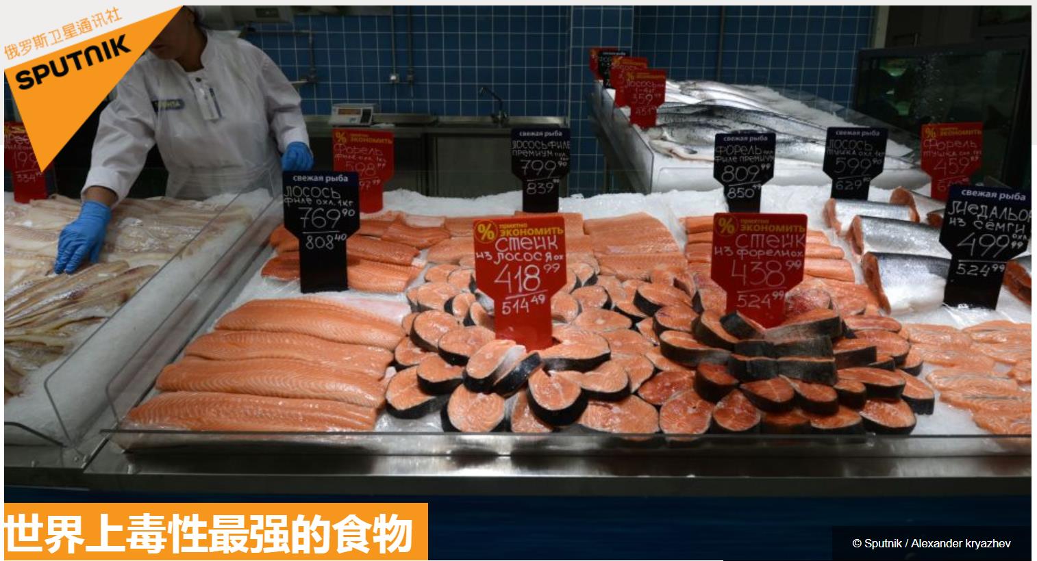 挪威进口三文鱼今年很“生猛” 在盒马销售同比增长超五成_中国经济网——国家经济门户