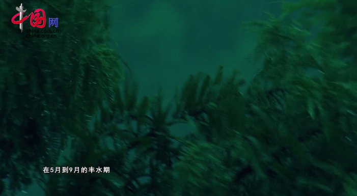 微信截图_20190103145645.png