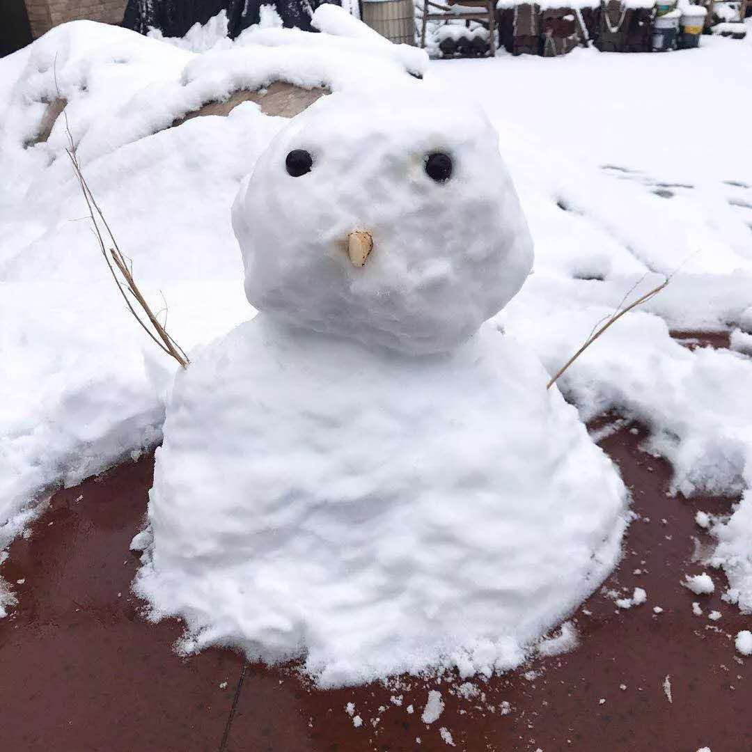 猪年第一场雪降临上海,你堆雪人了吗?