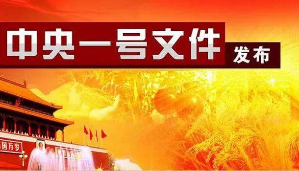 2019年中央一号文件发布！这些内容与你息息相关
