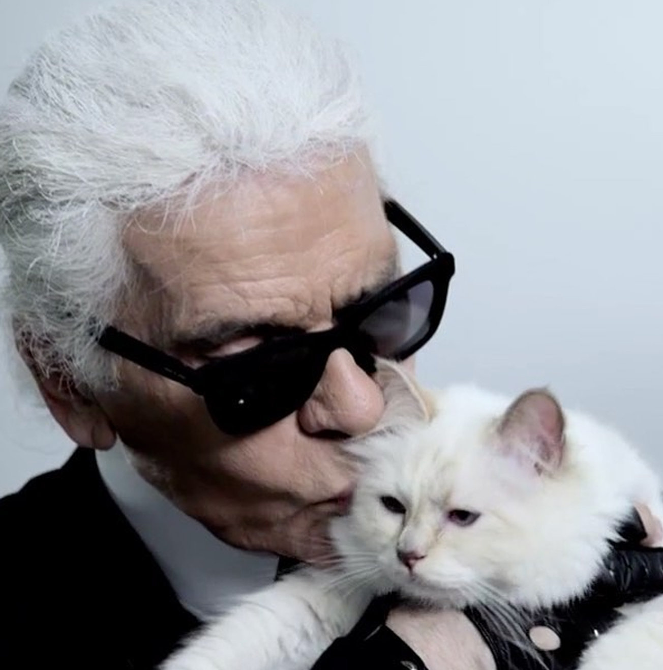 法国奢侈品品牌香奈儿（Chanel）艺术和创意总监老佛爷卡尔·拉格斐（Karl Lagerfeld）的继承者可能是他的宠物猫邱比特（Choupette）。