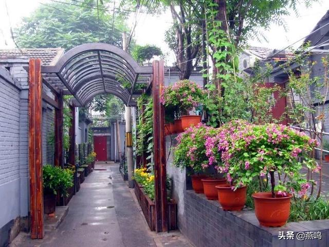 “你呼我应”桩桩件件察民情、是民声