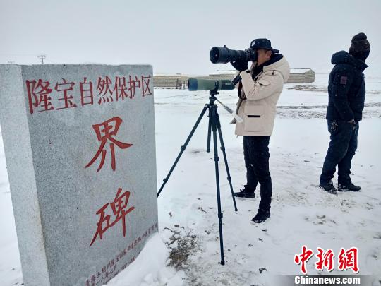 图为青海玉树隆宝国家级自然保护区工作人员巡线监测，为身处雪灾中的黑颈鹤做“后勤保障”工作。　索南扎西 摄