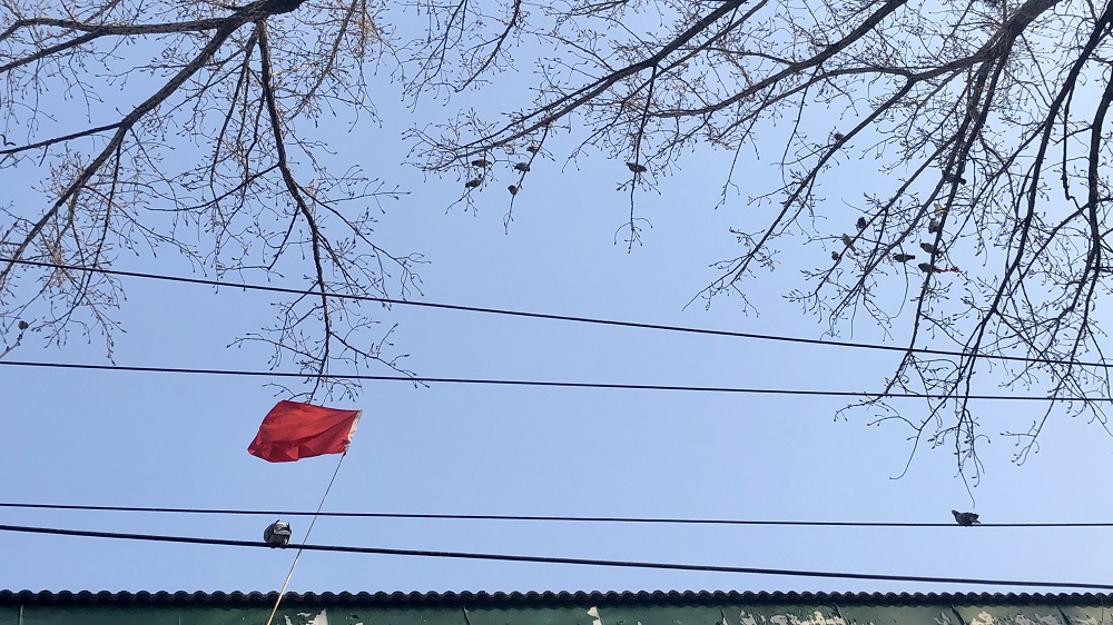 微信图片_20190305140119.jpg