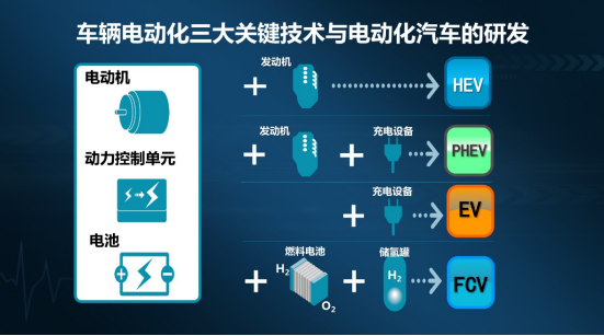 卡罗拉6.png