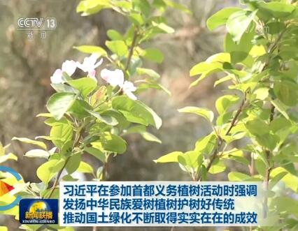 QQ截图20190408210529.jpg