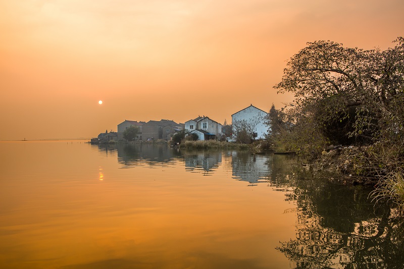 沈桥夕阳-卫吾政.jpg