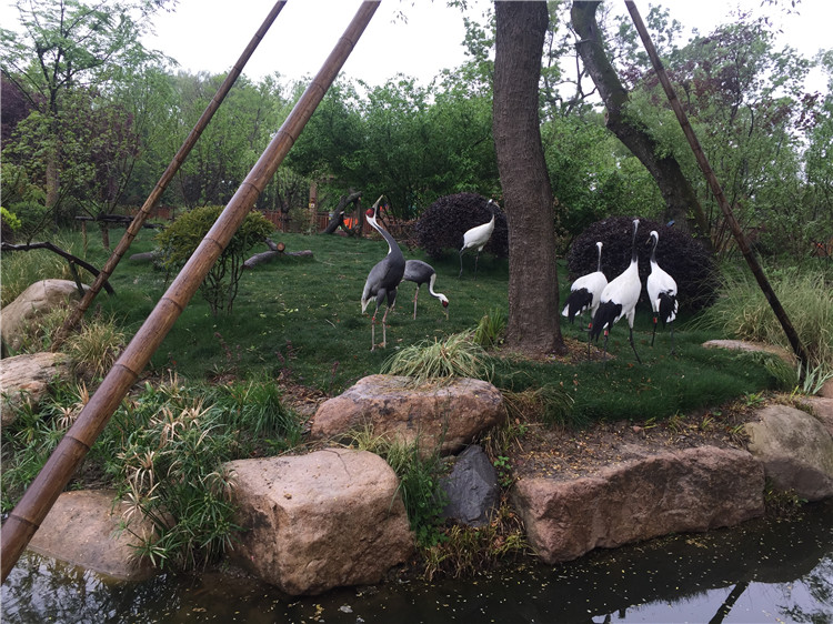 去今天开放的上海动物园乡土动物区探个究竟吧
