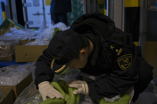 5月24日，外港海关查验柬埔寨首批输华香蕉-赵方逍 摄.jpg
