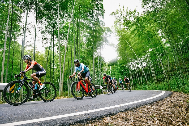 参赛选手在风景秀丽的林间山路骑行.jpg