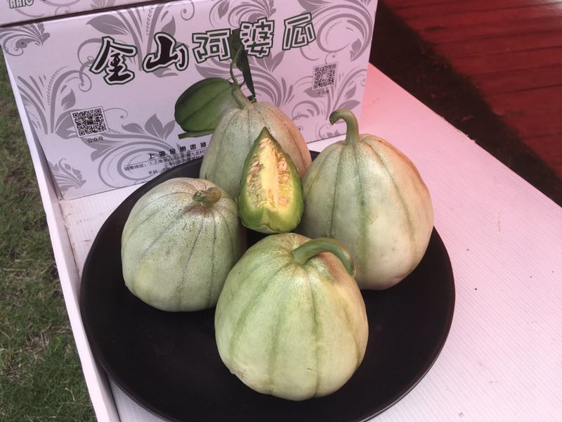 微信图片_20190605144108.jpg