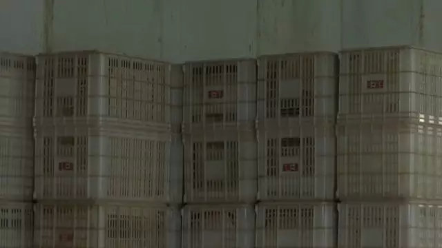 耿立宝家冷库