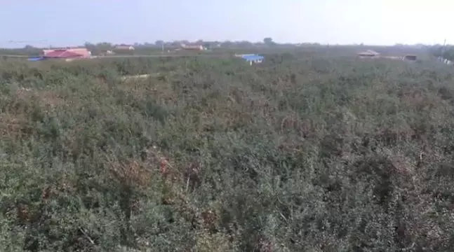 甘肃省庆阳市
