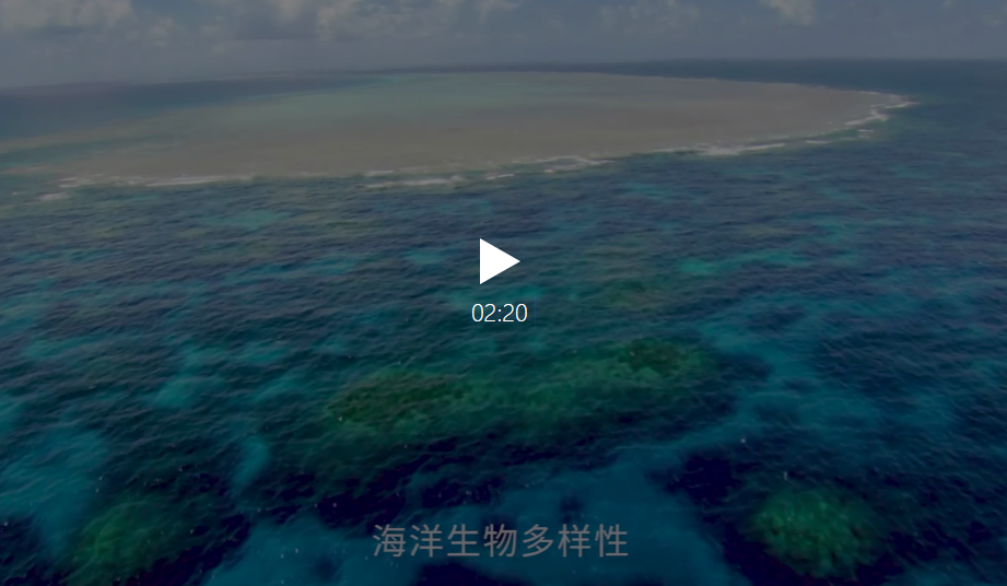 微信截图_20190608125844.png