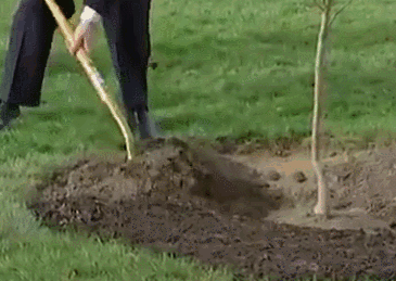 bff1188ddd0ba8f9fb334567e6750c304331.gif