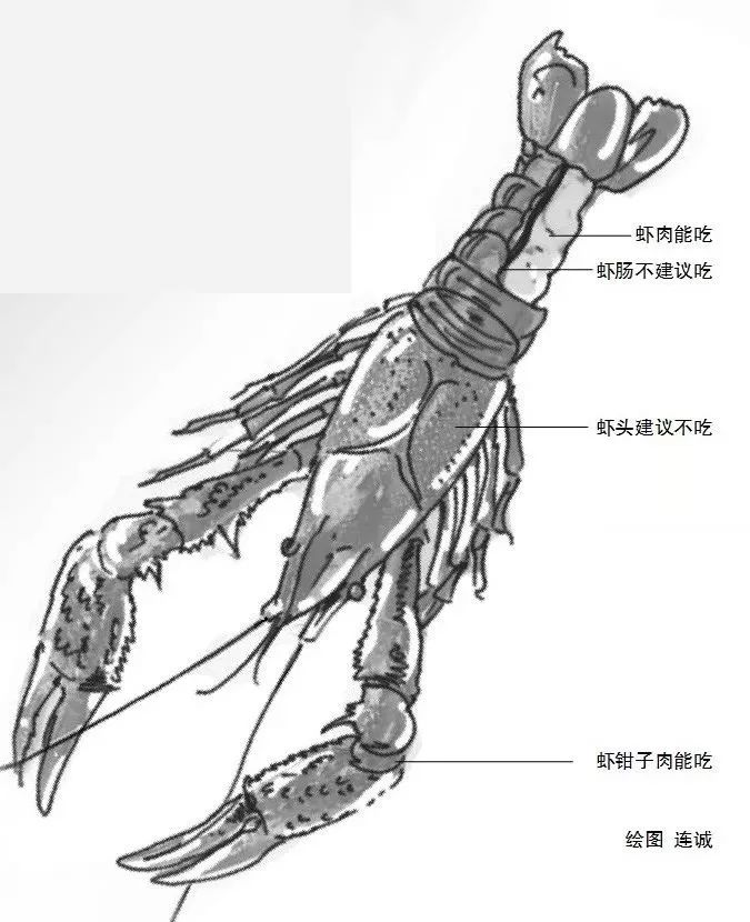 小龙虾一定不能隔夜吃！已有人中毒险昏迷！