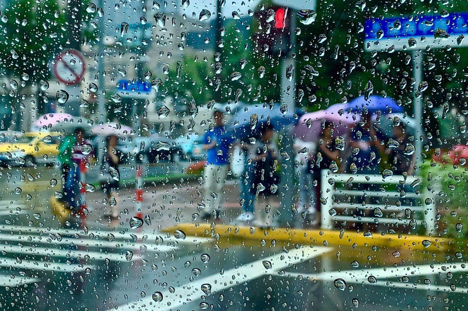 城事_ 梅雨季再发威,大到暴雨今晚来沪报到