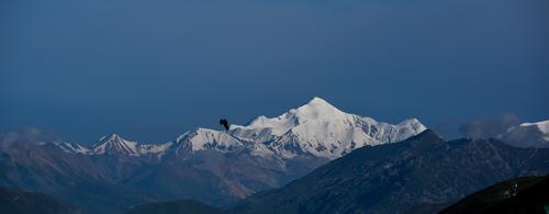 阿尼玛卿雪山.