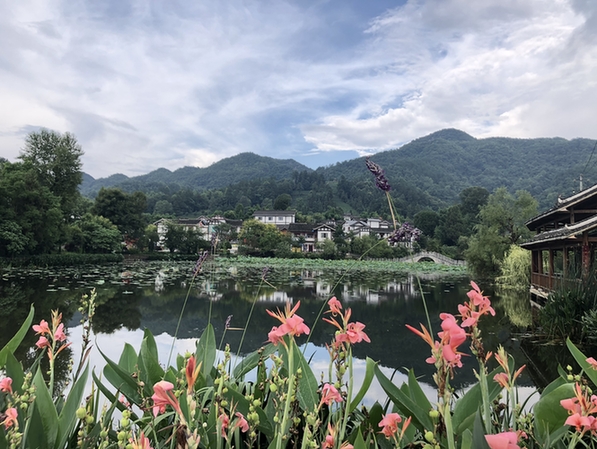 湄潭茶产业花样翻新 助推美丽乡村建设