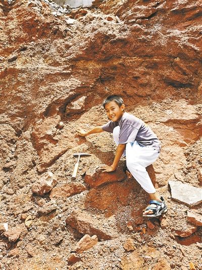 小学生发现六千万年前恐龙蛋