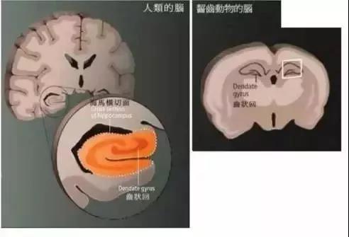 微信图片_20190806085329.jpg