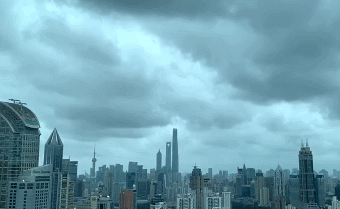 1111.gif