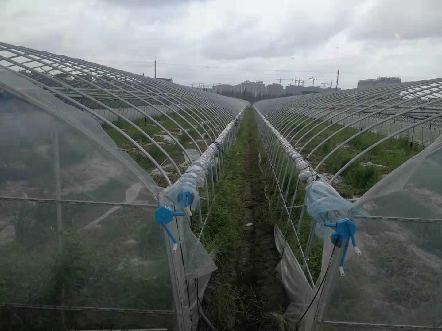 webwxgetmsgimg (41).jpg