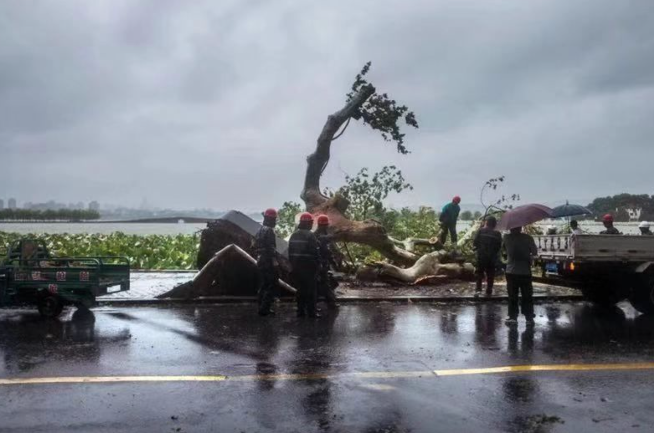 屏幕快照 2019-08-10 下午1.03.15.png