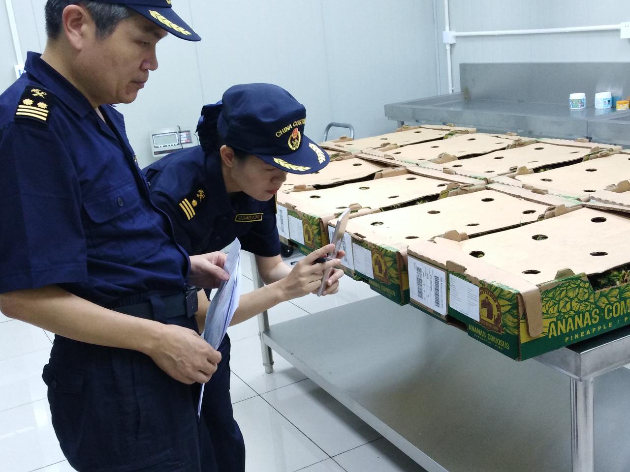 9月2日，浦东机场海关对巴拿马进口菠萝实施现场检疫-马绿野 摄2.jpg