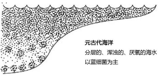  元古代海洋示意图（图片来源：南京古生物所）