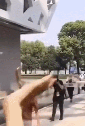 2.gif