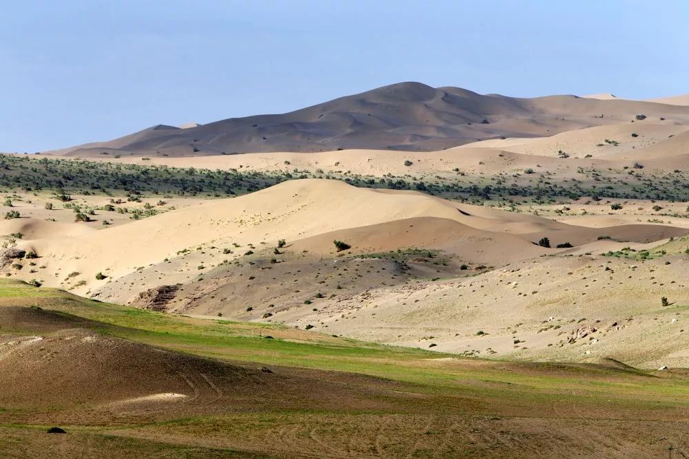 今年雨水多，8月莫高窟附近戈壁沙漠泛起绿意。（敦煌研究院供图 孙志军摄）