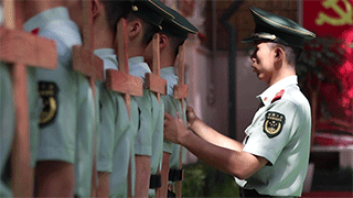14.6.gif