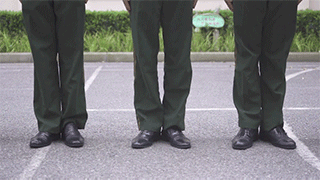 14.gif