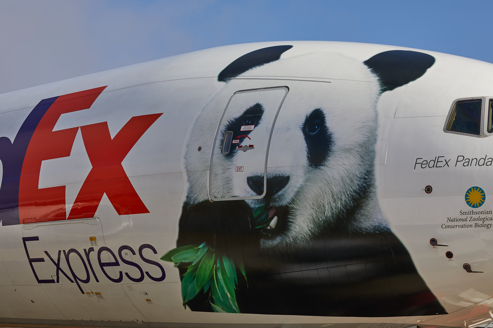 “FedEx熊猫快递号”777专机2.jpg