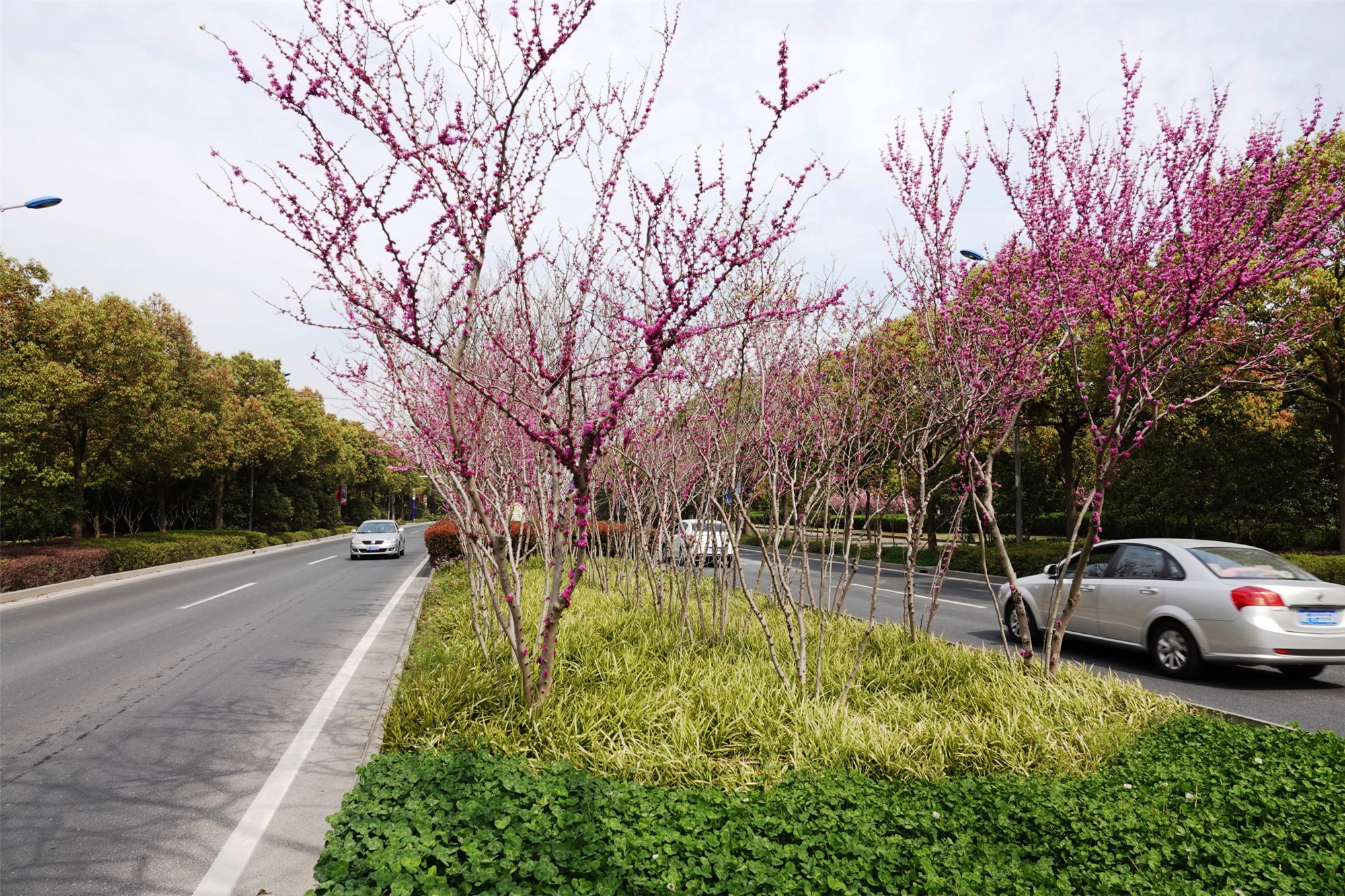 宝山区潘泾路（新川沙路—陈功路）_副本.jpg