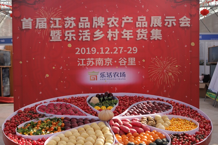 01由乐生农业科技园生产的各类新鲜果蔬拼装的巨型果盘.JPG
